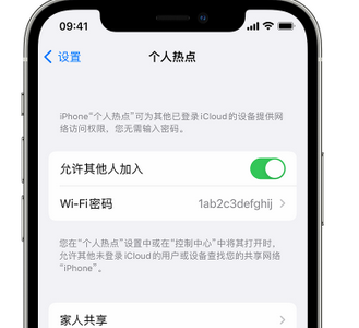 沁水apple服务站点分享iPhone上个人热点丢失了怎么办 