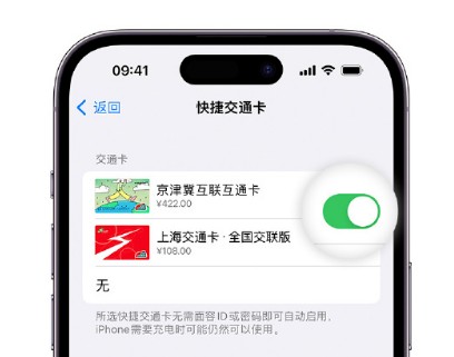 沁水apple维修点分享iPhone上更换Apple Pay快捷交通卡手绘卡面 