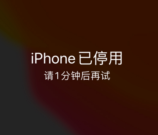 沁水苹果手机维修分享:iPhone 显示“不可用”或“已停用”怎么办？还能保留数据吗？ 