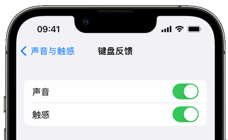 沁水苹果手机维修分享iPhone 14触感键盘使用方法 