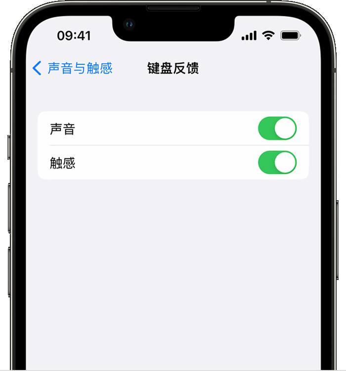 沁水苹果14维修店分享如何在 iPhone 14 机型中使用触感键盘 