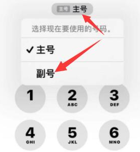 沁水苹果14维修店分享iPhone 14 Pro Max使用副卡打电话的方法 