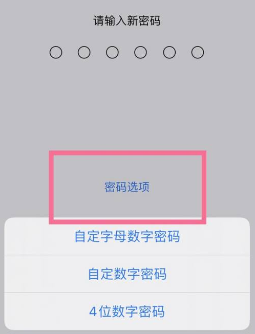 沁水苹果14维修分享iPhone 14plus设置密码的方法 