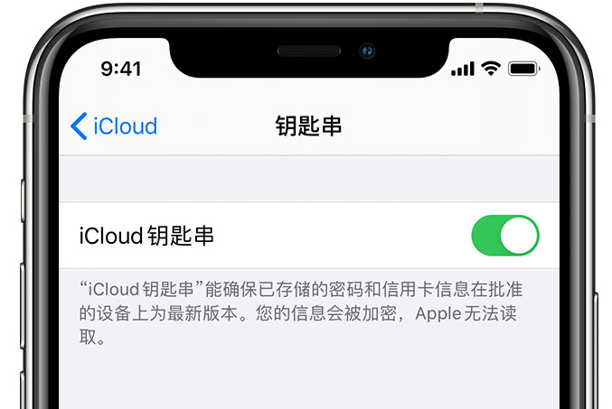 沁水苹果手机维修分享在 iPhone 上开启 iCloud 钥匙串之后会储存哪些信息 